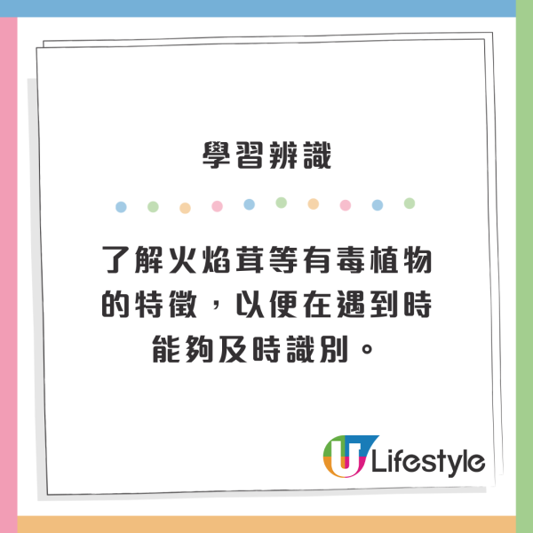東京多處驚現毒菇火焰茸!觸碰都出事!誤食3克足以致命