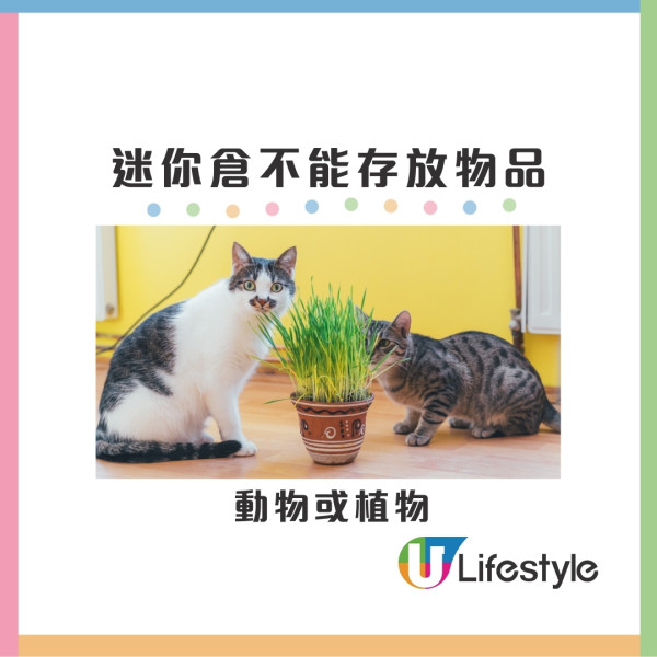 迷你倉不能儲存物品