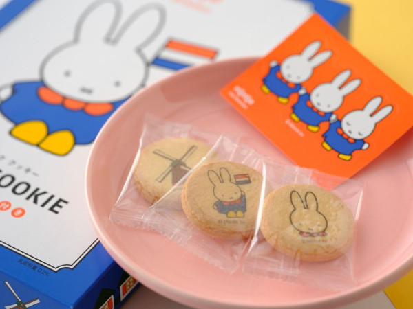 全球首個Miffy主題樂園下年開幕！最大周邊商品店/超繽紛酒店主題房 