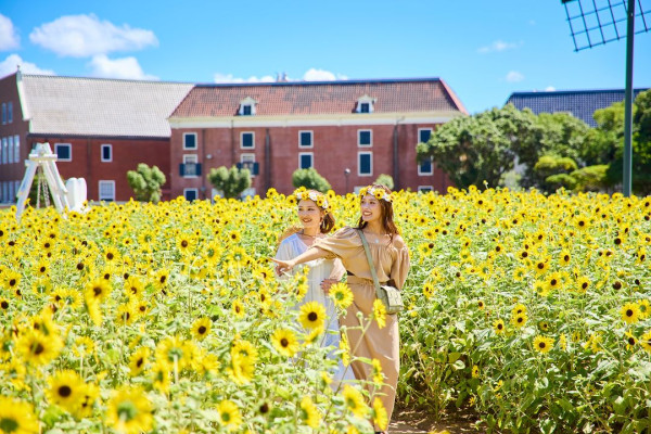 全球首個Miffy主題樂園下年開幕！最大周邊商品店/超繽紛酒店主題房 