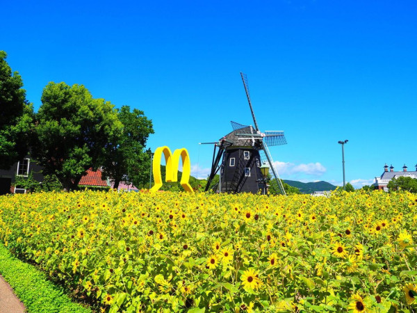 全球首個Miffy主題樂園下年開幕！最大周邊商品店/超繽紛酒店主題房 