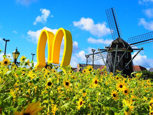 全球首個Miffy主題樂園下年開幕！最大周邊商品店/超繽紛酒店主題房 