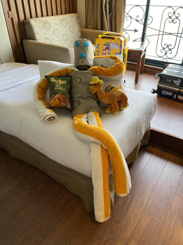 網民旅遊住酒店發現給小費每天有毛巾小驚喜 大量網民爆笑照分享 超強摺毛巾藝術 