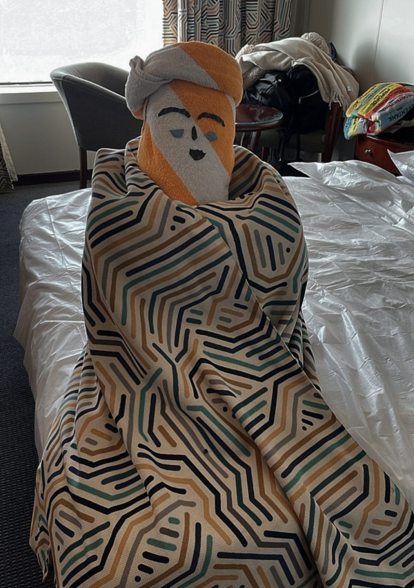 網民旅遊住酒店發現給小費每天有毛巾小驚喜 大量網民爆笑照分享 超強摺毛巾藝術 