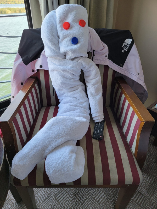 網民旅遊住酒店發現給小費每天有毛巾小驚喜 大量網民爆笑照分享 超強摺毛巾藝術 