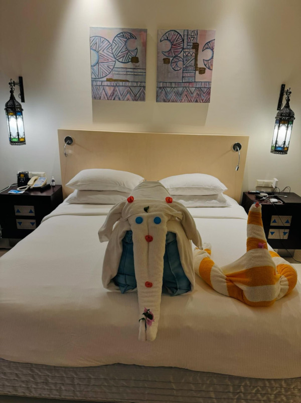 網民旅遊住酒店發現給小費每天有毛巾小驚喜 大量網民爆笑照分享 超強摺毛巾藝術 