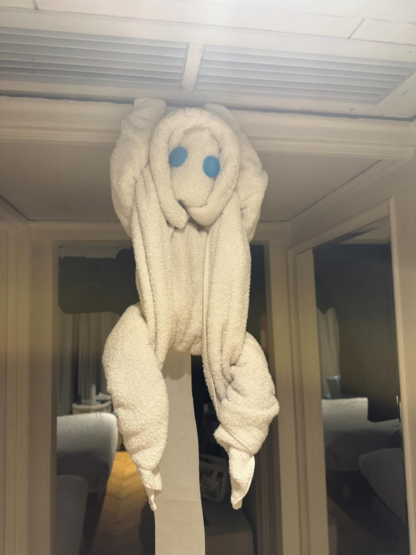 網民旅遊住酒店發現給小費每天有毛巾小驚喜 大量網民爆笑照分享 超強摺毛巾藝術 