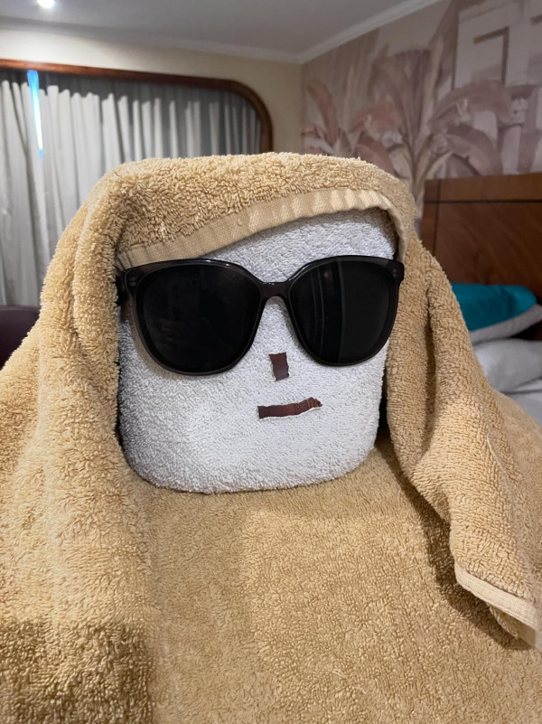 網民旅遊住酒店發現給小費每天有毛巾小驚喜 大量網民爆笑照分享 超強摺毛巾藝術 