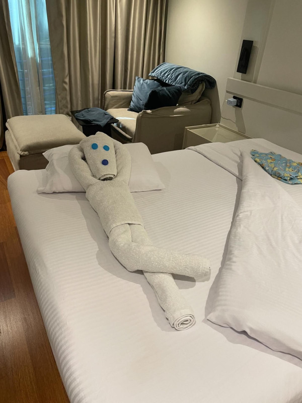 網民旅遊住酒店發現給小費每天有毛巾小驚喜 大量網民爆笑照分享 超強摺毛巾藝術 