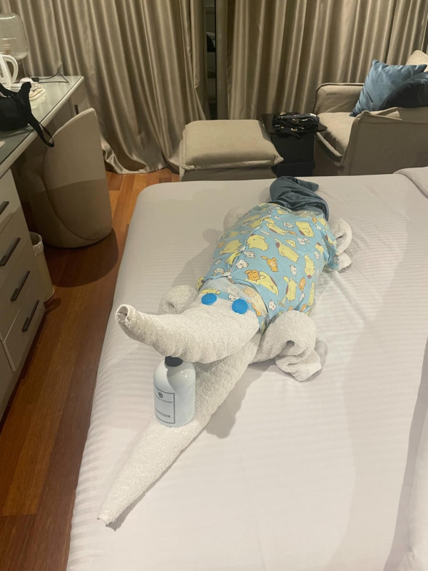 網民旅遊住酒店發現給小費每天有毛巾小驚喜 大量網民爆笑照分享 超強摺毛巾藝術 