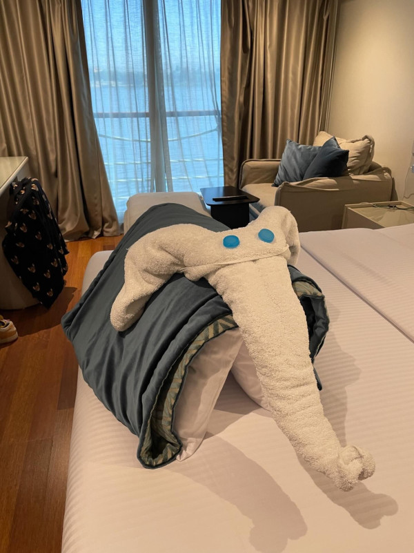 網民旅遊住酒店發現給小費每天有毛巾小驚喜 大量網民爆笑照分享 超強摺毛巾藝術 