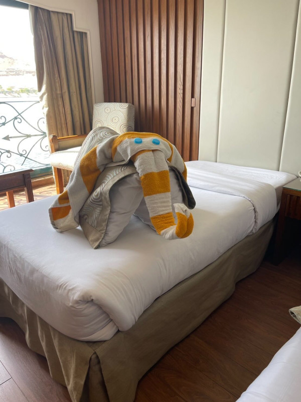 網民旅遊住酒店發現給小費每天有毛巾小驚喜 大量網民爆笑照分享 超強摺毛巾藝術 