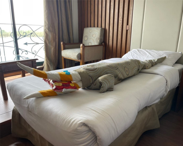 網民旅遊住酒店發現給小費每天有毛巾小驚喜 大量網民爆笑照分享 超強摺毛巾藝術 