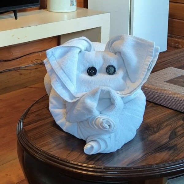 網民旅遊住酒店發現給小費每天有毛巾小驚喜 大量網民爆笑照分享 超強摺毛巾藝術 