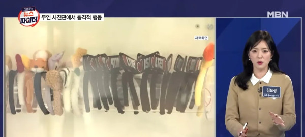 泰國布吉遊客海邊再上演活春宮! 網友見怪不怪:這不是新聞了