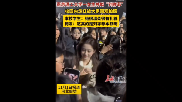 星二代向佐真空上陣出席慶典 借母親大褸露出背脊 不慎走光惹網民熱議