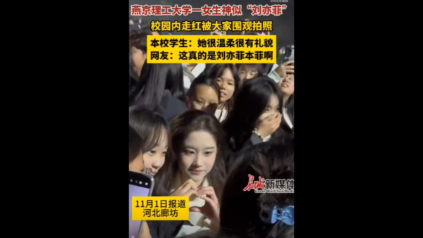 星二代向佐真空上陣出席慶典 借母親大褸露出背脊 不慎走光惹網民熱議