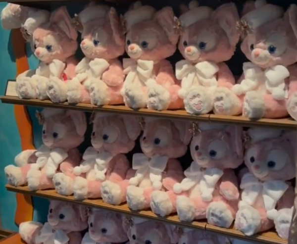 有片｜內地人拍片批代購瘋搶東京迪士尼商品 有人倒地要職員推輪椅 場面極度混亂 