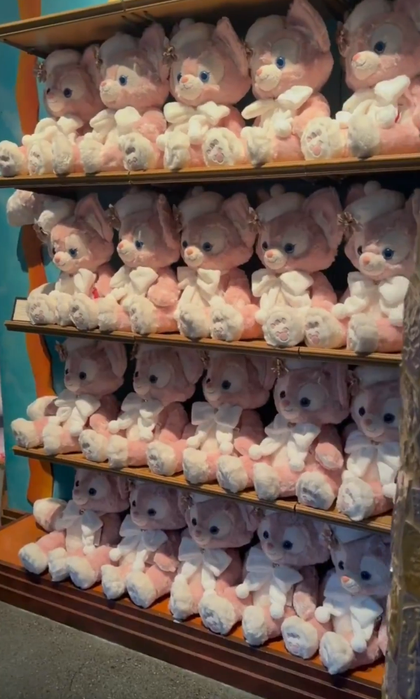 有片｜內地人拍片批代購瘋搶東京迪士尼商品 有人倒地要職員推輪椅 場面極度混亂 