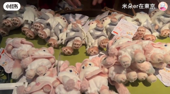 有片｜內地人拍片批代購瘋搶東京迪士尼商品 有人倒地要職員推輪椅 場面極度混亂 