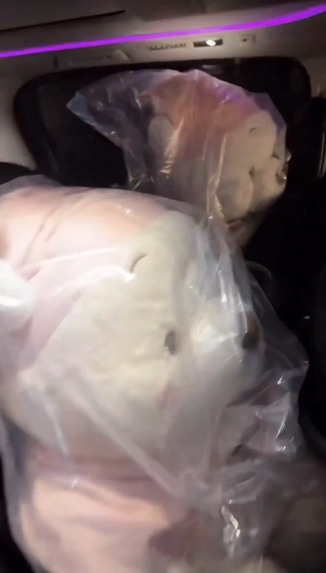 有片｜內地人拍片批代購瘋搶東京迪士尼商品 有人倒地要職員推輪椅 場面極度混亂 