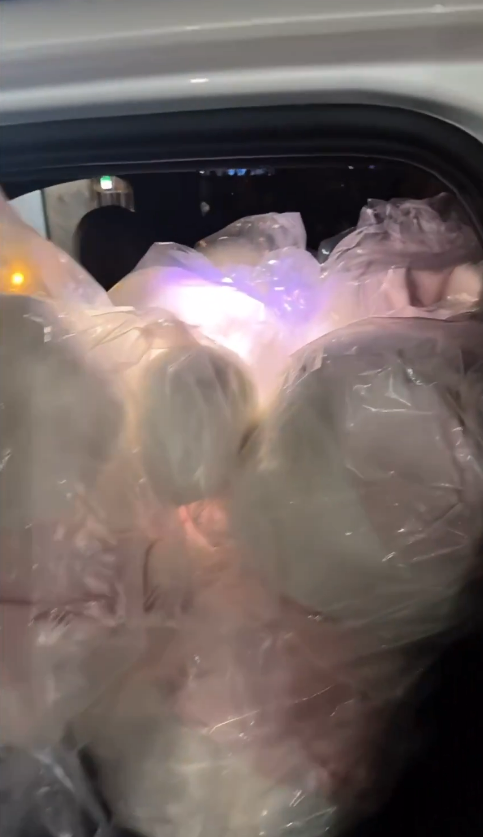 有片｜內地人拍片批代購瘋搶東京迪士尼商品 有人倒地要職員推輪椅 場面極度混亂 