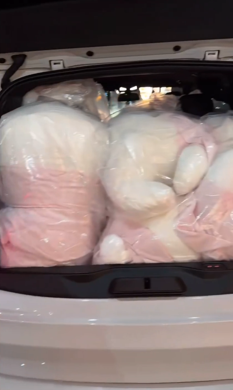 有片｜內地人拍片批代購瘋搶東京迪士尼商品 有人倒地要職員推輪椅 場面極度混亂 