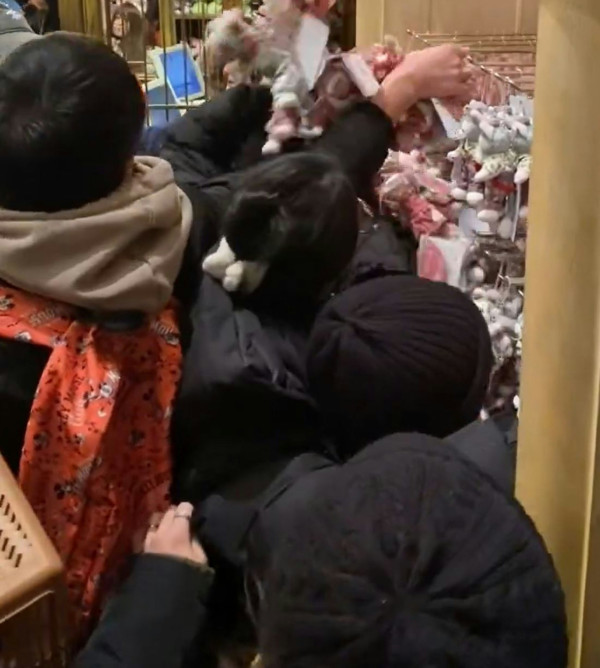 有片｜內地人拍片批代購瘋搶東京迪士尼商品 有人倒地要職員推輪椅 場面極度混亂 