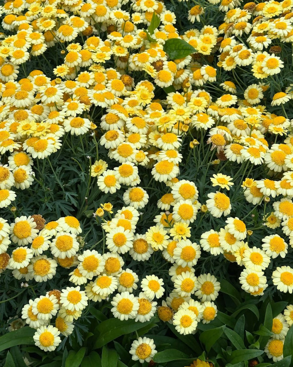 落選港姐鍾溥敏馬爾代夫度蜜月 大晒泳衣沙灘清涼照引羡慕:你老公太幸福