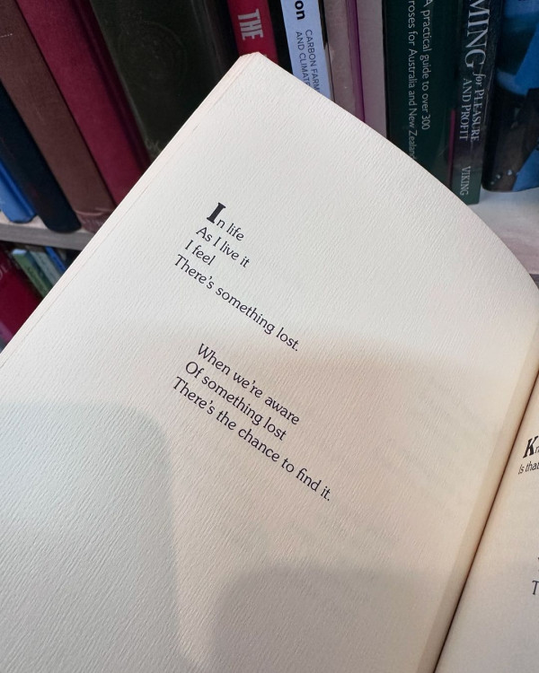 落選港姐鍾溥敏馬爾代夫度蜜月 大晒泳衣沙灘清涼照引羡慕:你老公太幸福