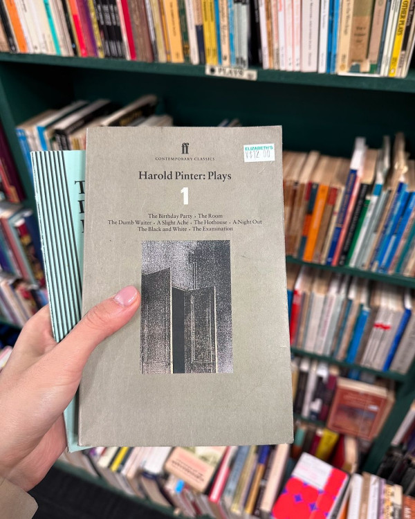 落選港姐鍾溥敏馬爾代夫度蜜月 大晒泳衣沙灘清涼照引羡慕:你老公太幸福