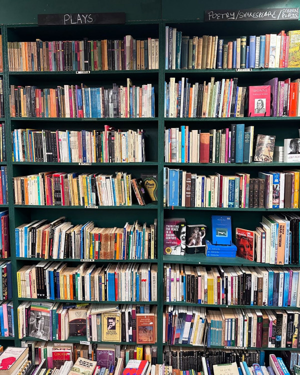 落選港姐鍾溥敏馬爾代夫度蜜月 大晒泳衣沙灘清涼照引羡慕:你老公太幸福