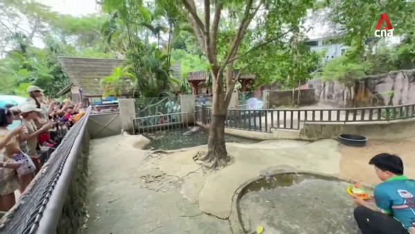 特朗普孻仔出招拉攏年輕人成幕後功臣 幾年間身高飆至2米成焦點 