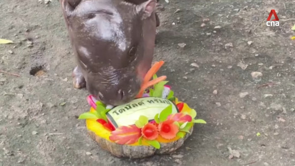 特朗普孻仔出招拉攏年輕人成幕後功臣 幾年間身高飆至2米成焦點 