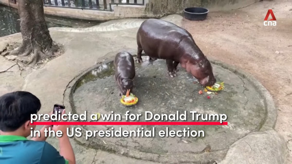 特朗普孻仔出招拉攏年輕人成幕後功臣 幾年間身高飆至2米成焦點 