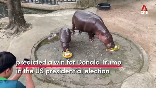 特朗普孻仔出招拉攏年輕人成幕後功臣 幾年間身高飆至2米成焦點 