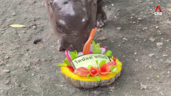 特朗普孻仔出招拉攏年輕人成幕後功臣 幾年間身高飆至2米成焦點 