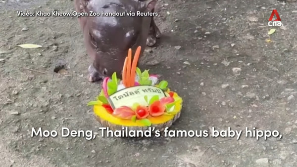 特朗普孻仔出招拉攏年輕人成幕後功臣 幾年間身高飆至2米成焦點 