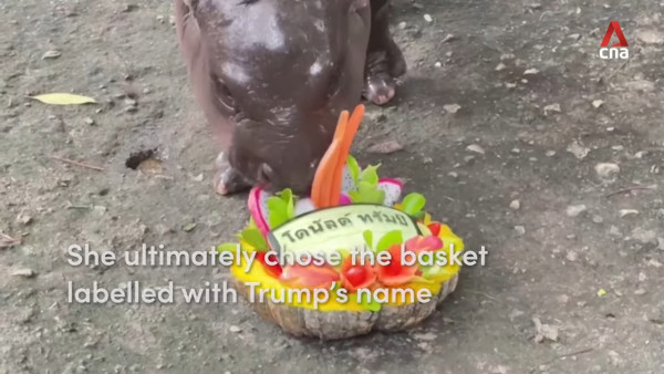 特朗普孻仔出招拉攏年輕人成幕後功臣 幾年間身高飆至2米成焦點 