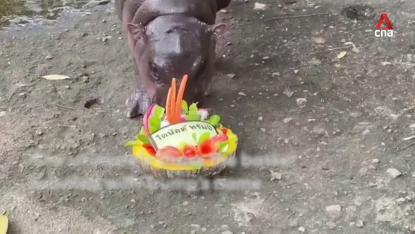 特朗普孻仔出招拉攏年輕人成幕後功臣 幾年間身高飆至2米成焦點 