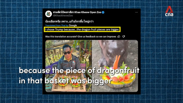 特朗普孻仔出招拉攏年輕人成幕後功臣 幾年間身高飆至2米成焦點 