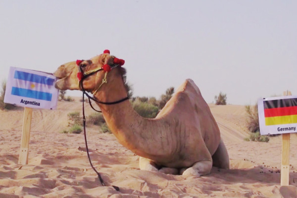 特朗普孻仔出招拉攏年輕人成幕後功臣 幾年間身高飆至2米成焦點 