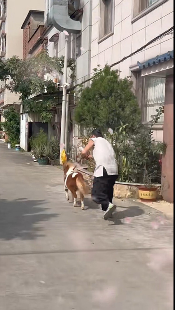 黎芷珊TVB新節目《戰場上》恐遭腰斬 走訪烏克蘭 言論批煽情偏頗不中立 網民向通訊局投訴 