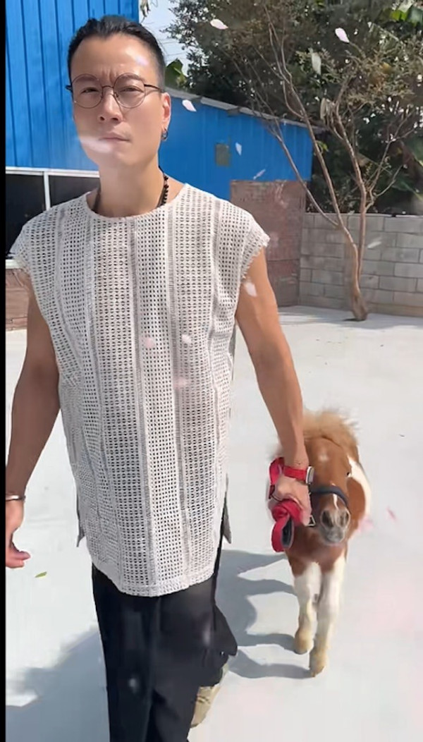 黎芷珊TVB新節目《戰場上》恐遭腰斬 走訪烏克蘭 言論批煽情偏頗不中立 網民向通訊局投訴 