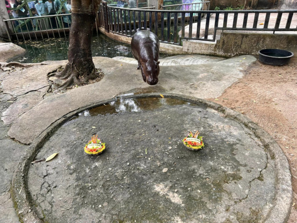 特朗普孻仔出招拉攏年輕人成幕後功臣 幾年間身高飆至2米成焦點 