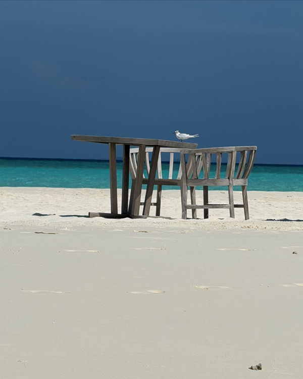 落選港姐鍾溥敏馬爾代夫度蜜月 大晒泳衣沙灘清涼照引羡慕:你老公太幸福