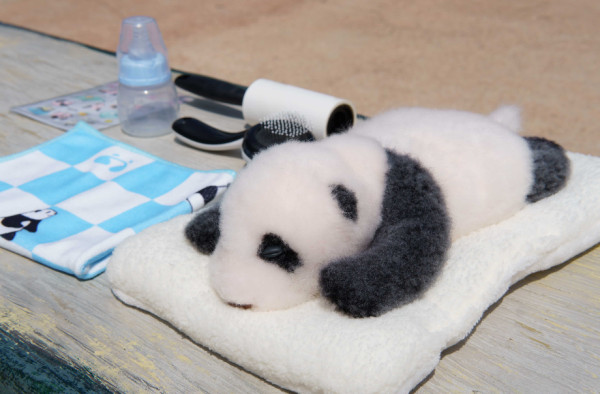 海洋公園百日慶典派對！大熊貓BB家姐細佬滿100日免費送紅雞蛋、豬腳薑醋