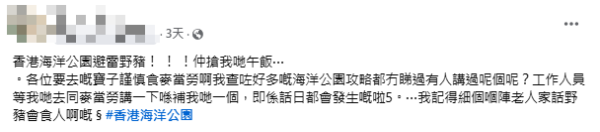 海洋公園用餐遇野豬搶食 遊客：攻略冇人講過！（圖片來源：Facebook群組「香港交通及突發事故報料區」）