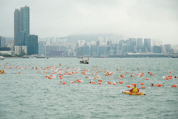 維港泳2024｜或受超強颱風銀杏影響！11.10早上倘掛一號波或紅雨將取消比賽