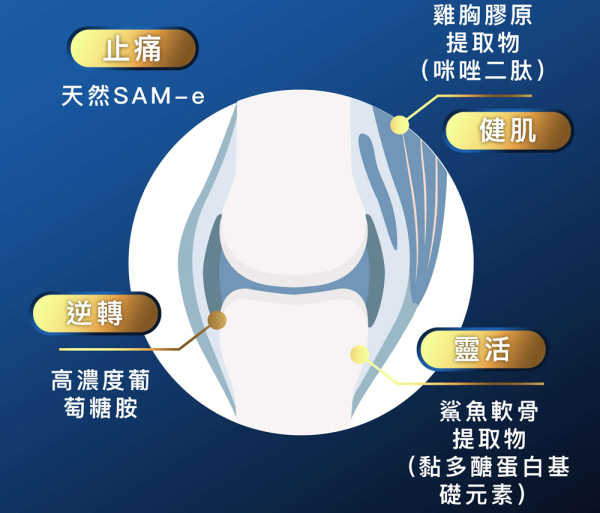 關節痛長期跟身 忽視肌力是一大主因？ 日本製造天然配方告別痛症 限時88折救關節